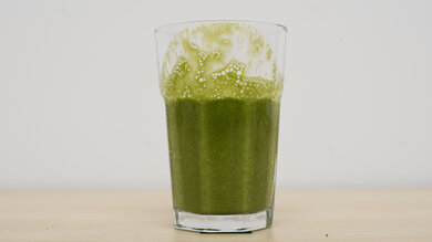 Vitamix Propel 510 Fibrous Ingredients (Small Batches) Photo