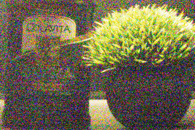 Panasonic LUMIX FZ80 Noise Scene Crop