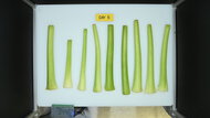 Frigidaire GRFS2853AD Produce Picture (After)