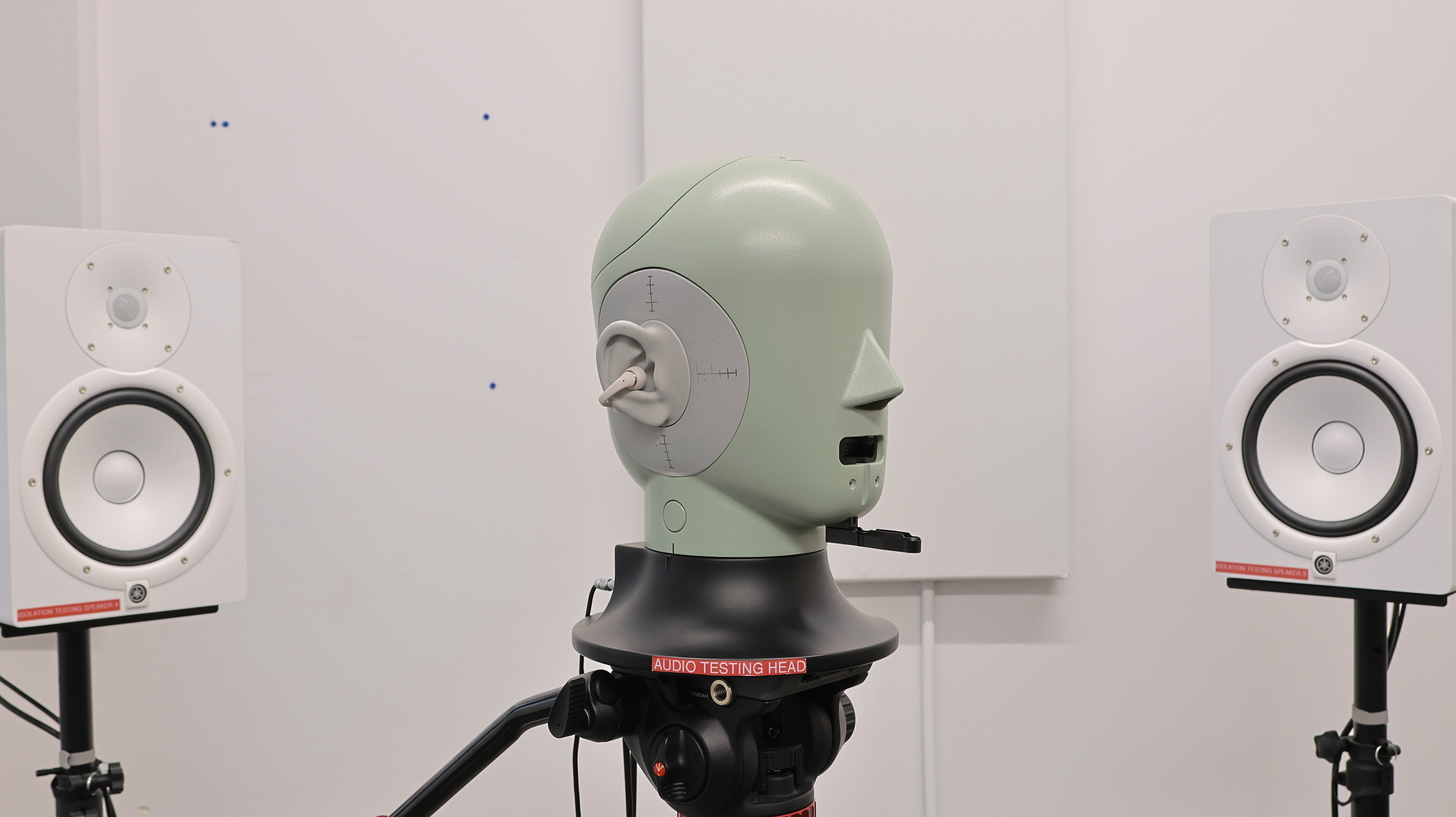 perceptual testing image