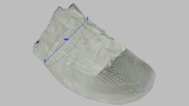 Nike Pegasus Premium Arch Fit Photo