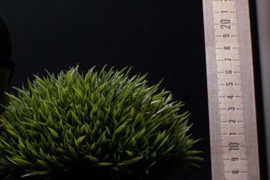 Fujifilm X-Pro3 Sharpness Scene Crop