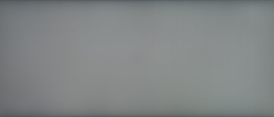 LG 38WN95C-W 50% Uniformity Picture