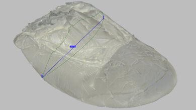 ASICS GT-1000 15 Arch Fit Photo