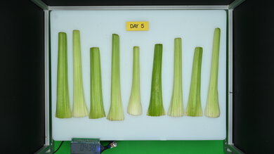 LG LF25Z6211S Produce Picture (After)