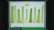 LG LF25Z6211S Produce Picture (After)