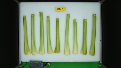 LG LS27T3230S Produce Picture (Before)