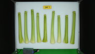 LG LS27T3230S Produce Picture (Before)