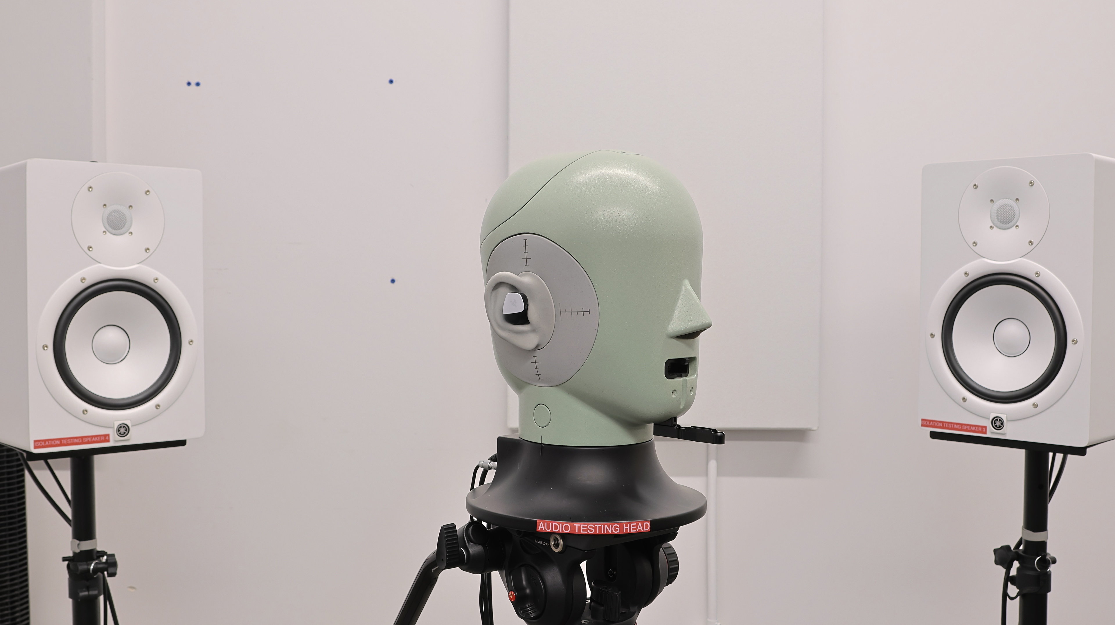 perceptual testing image