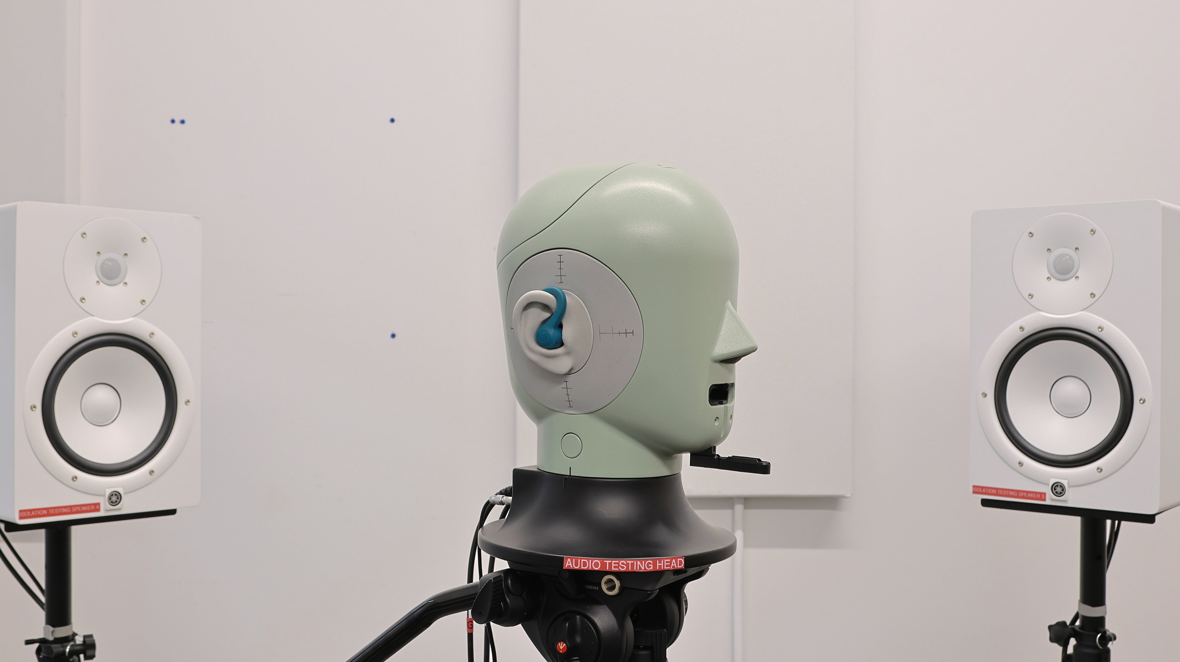 perceptual testing image