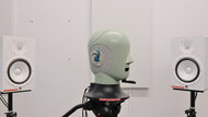 In-Test Picture