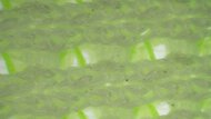 Nike Pegasus 42 Upper Microscope Photo