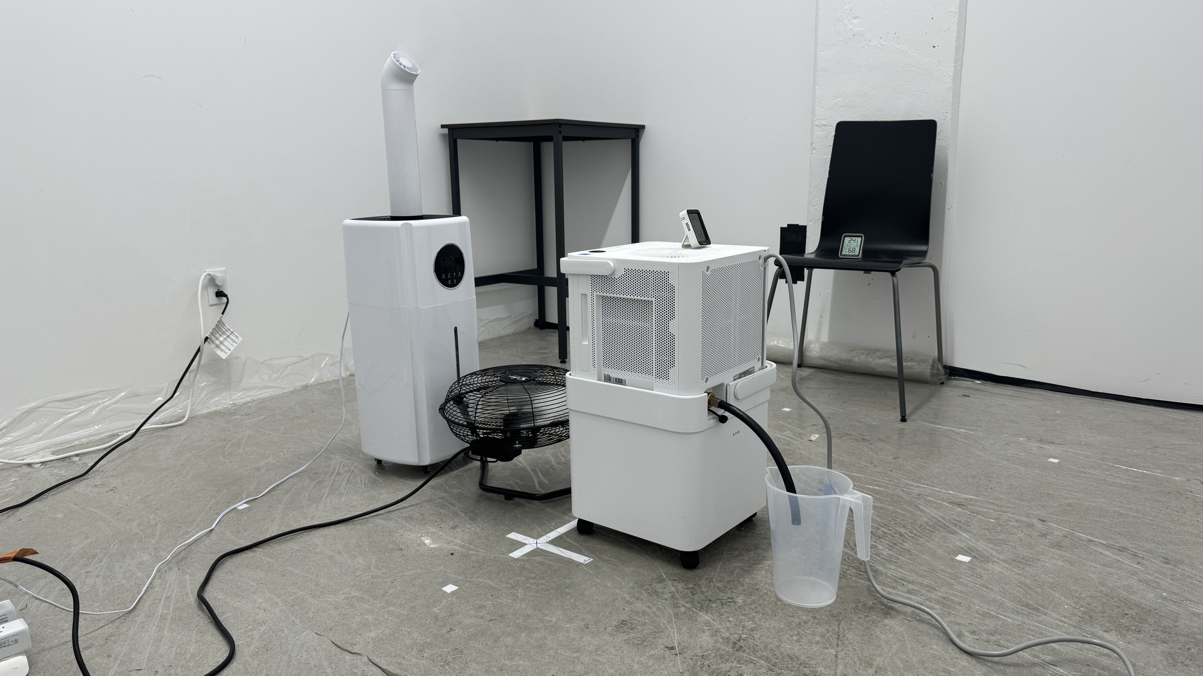 perceptual testing image