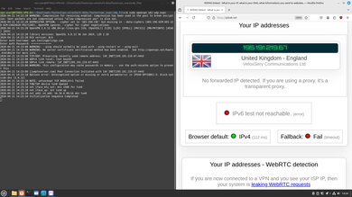 FastestVPN Headless OpenVPN Connection Screenshot