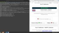 FastestVPN Headless OpenVPN Connection Screenshot