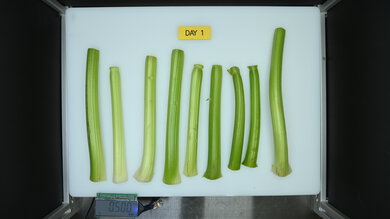 Maytag MRT311FFFE Produce Picture (Before)