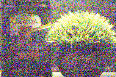 Panasonic LUMIX ZS99 Noise Scene Crop