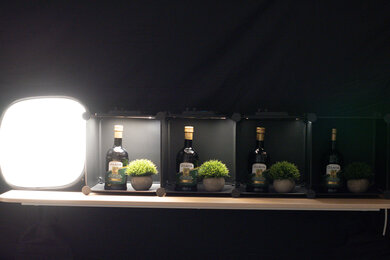 Nikon Z fc Dynamic Range Scene