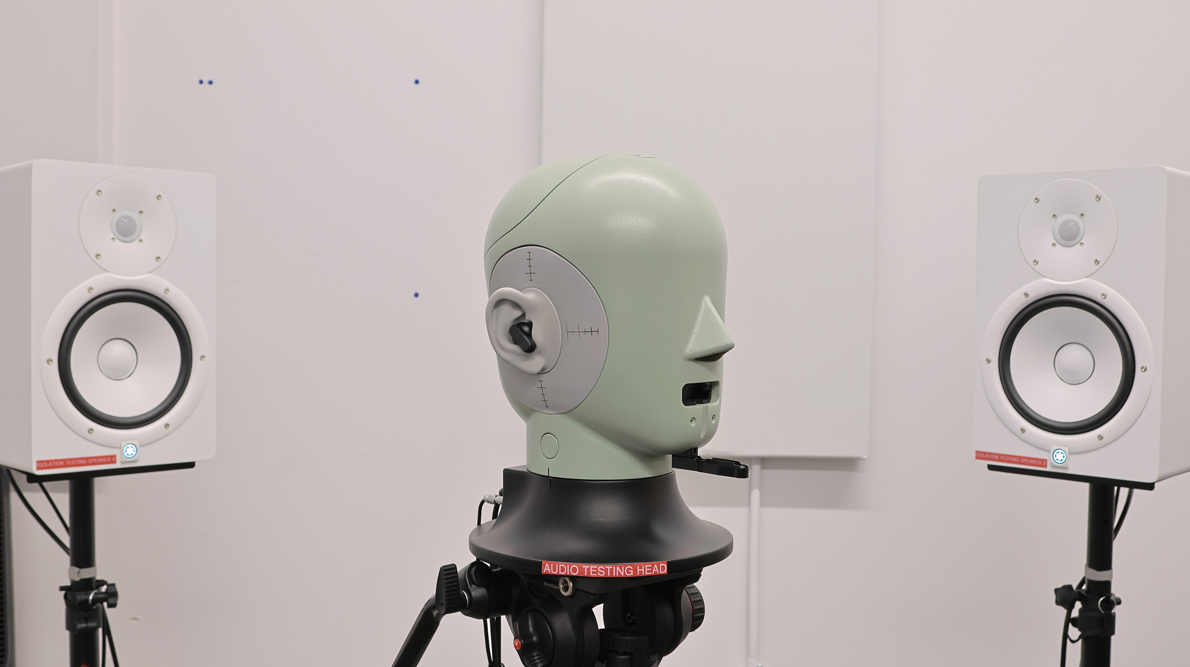 perceptual testing image