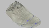 Nike Pegasus Plus 2 Forefoot Width Photo