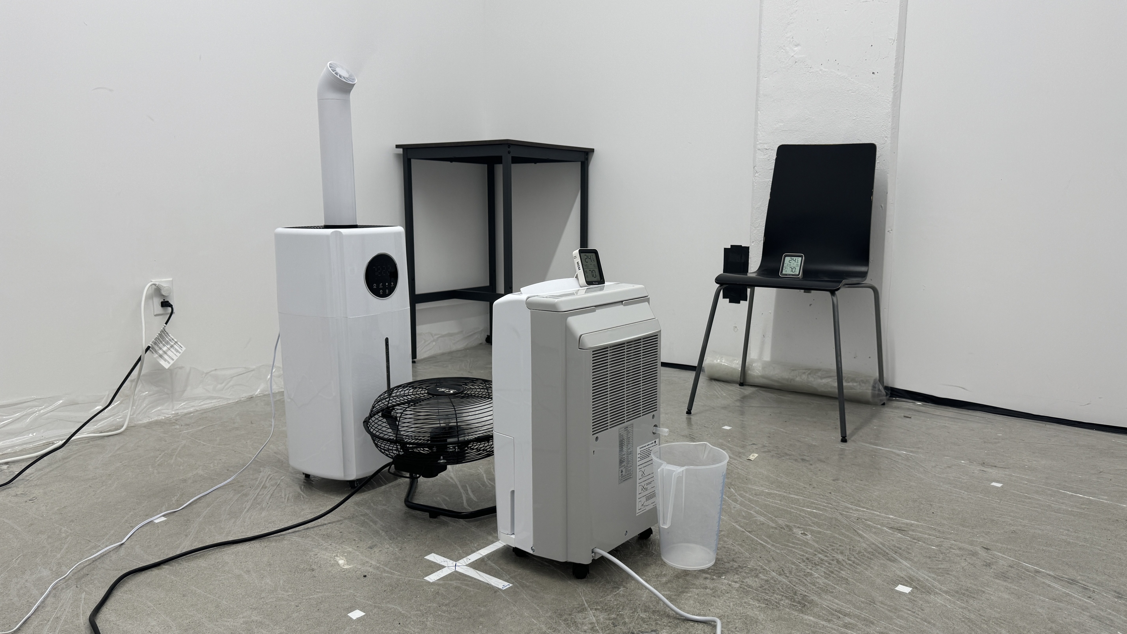 perceptual testing image