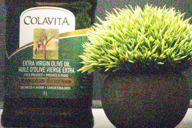 Nikon D3500 Noise Scene Crop