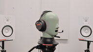 In-Test Picture