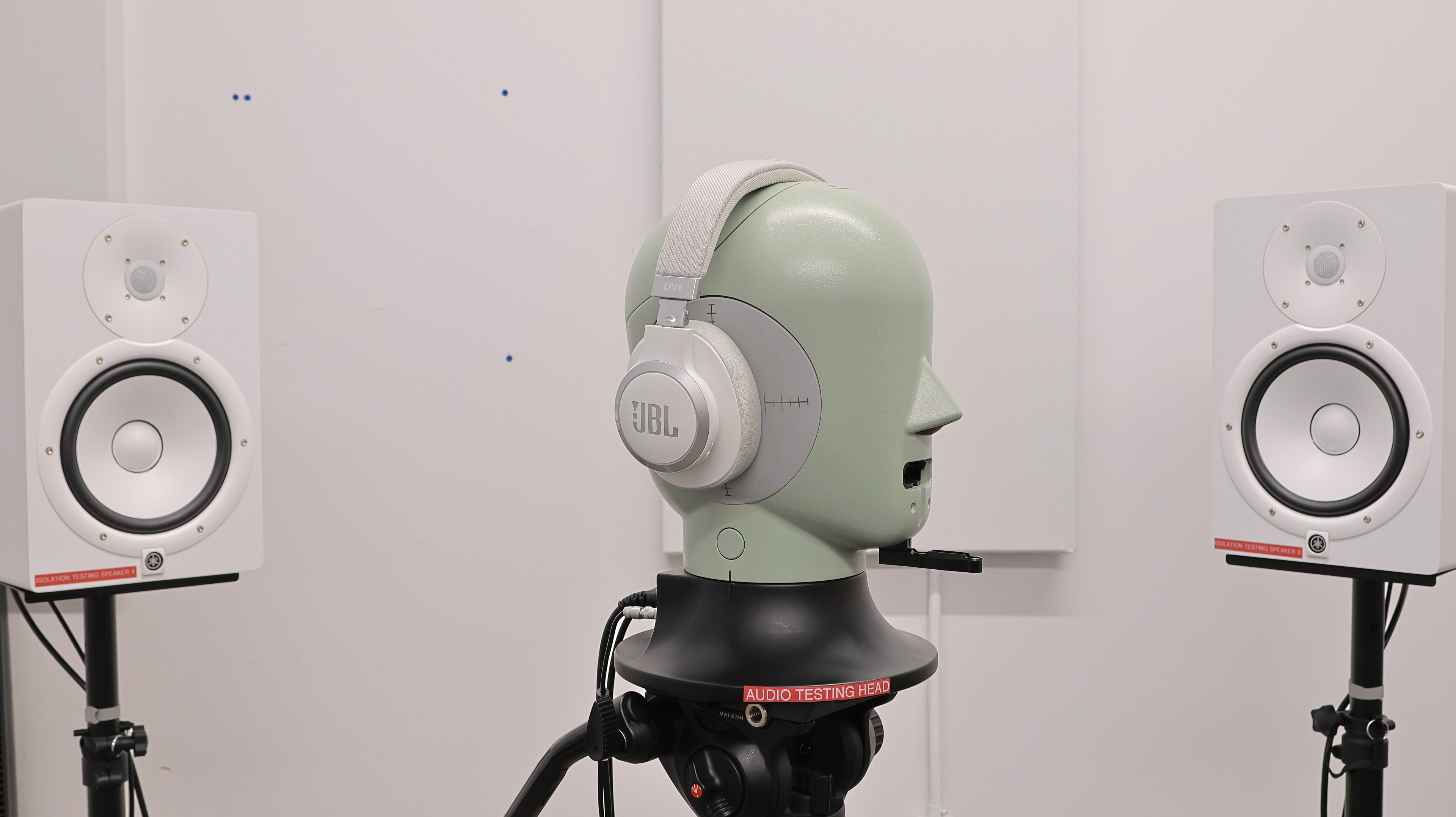 perceptual testing image