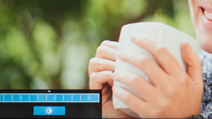 Lenovo ThinkVision M14 OSD Picture