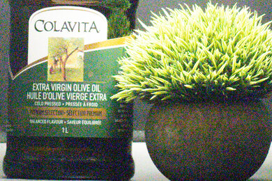 Canon EOS RP Noise Scene Crop