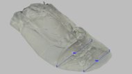 Mizuno Wave Rider 29 Forefoot Width Photo