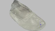 Brooks Revel 9 Forefoot Height Photo