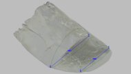 Mizuno Wave Rebellion Pro 3 Forefoot Width Photo