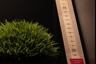Fujifilm GFX100RF Sharpness Scene Crop