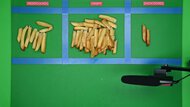 Ninja Crispi DualZone DD101 Sorted Fries