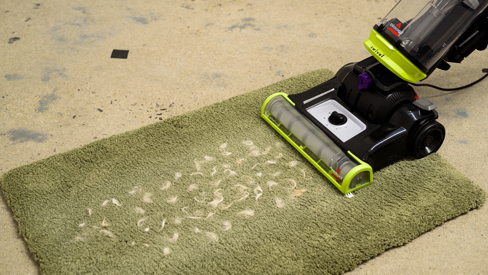 BISSELL CleanView Swivel Pet Review 