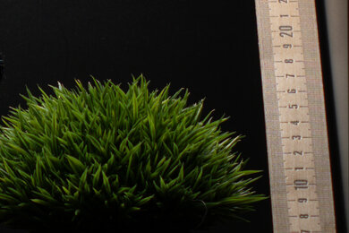 Sony ZV-E10 II Sharpness Scene Crop