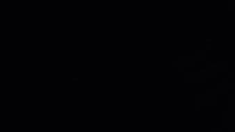 Apple Studio Display Black Level Raise Picture
