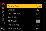 Panasonic LUMIX ZS300 Screen Menu Picture
