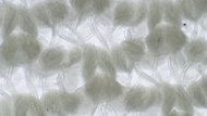 Altra Vanish Pulse Upper Microscope Photo