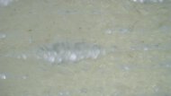 Nike Quest 7 Upper Microscope Photo
