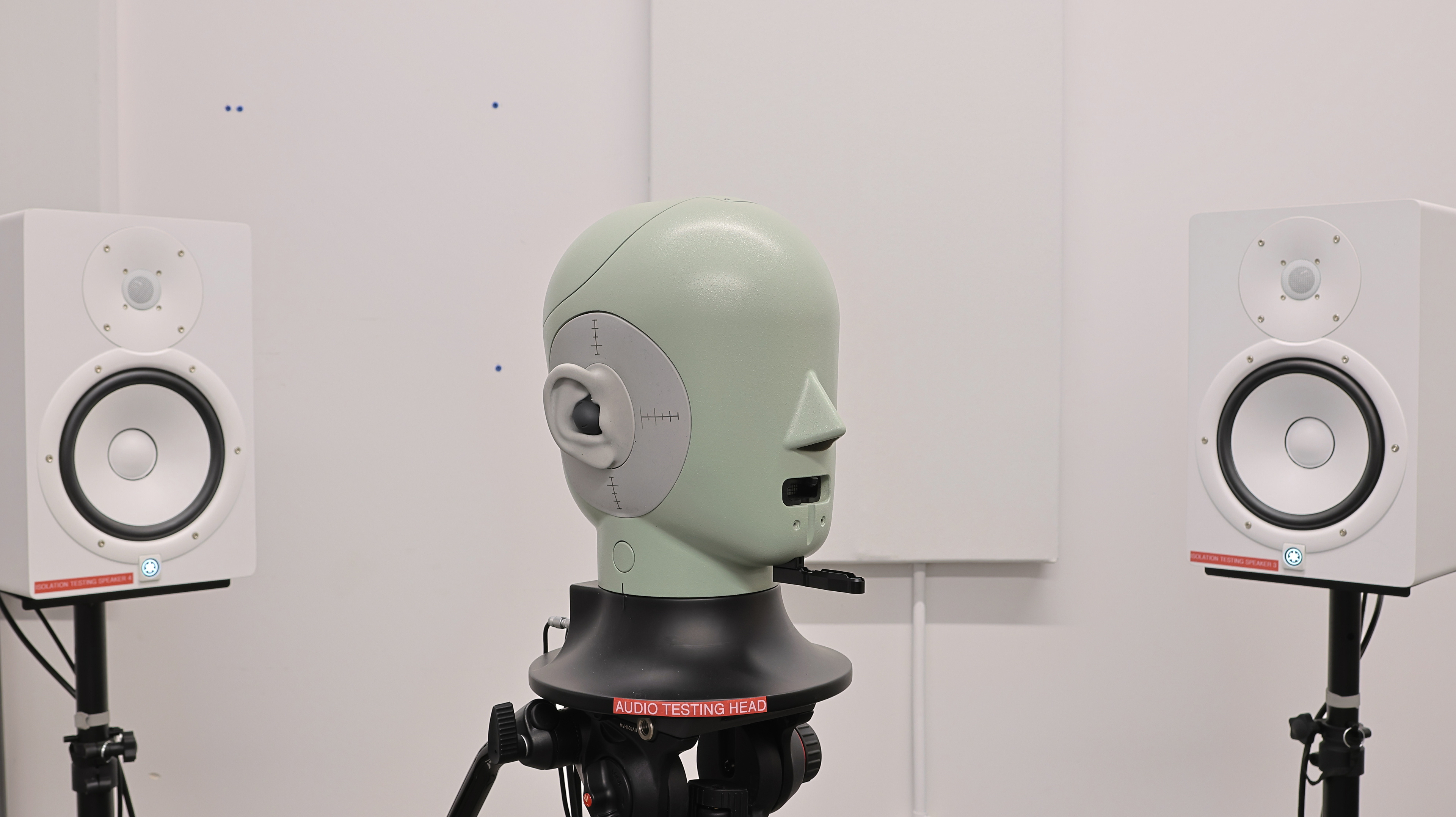 perceptual testing image