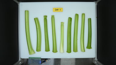 GE GSS25GYPFS Produce Picture (Before)