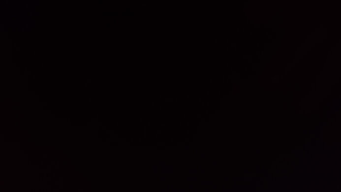 LG C5 42 OLED Black Level Raise Picture