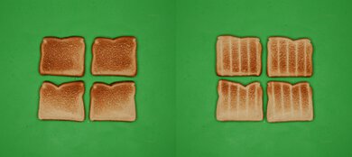 Panasonic FlashXpress NB-G110P Unprocessed Toast Picture