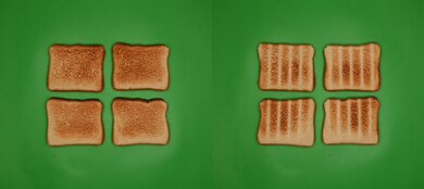 Ninja French Door Premier FO101 Unprocessed Toast Picture