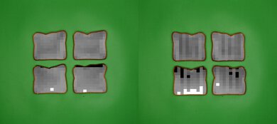 Cuisinart TOA-110 Processed Toast Picture