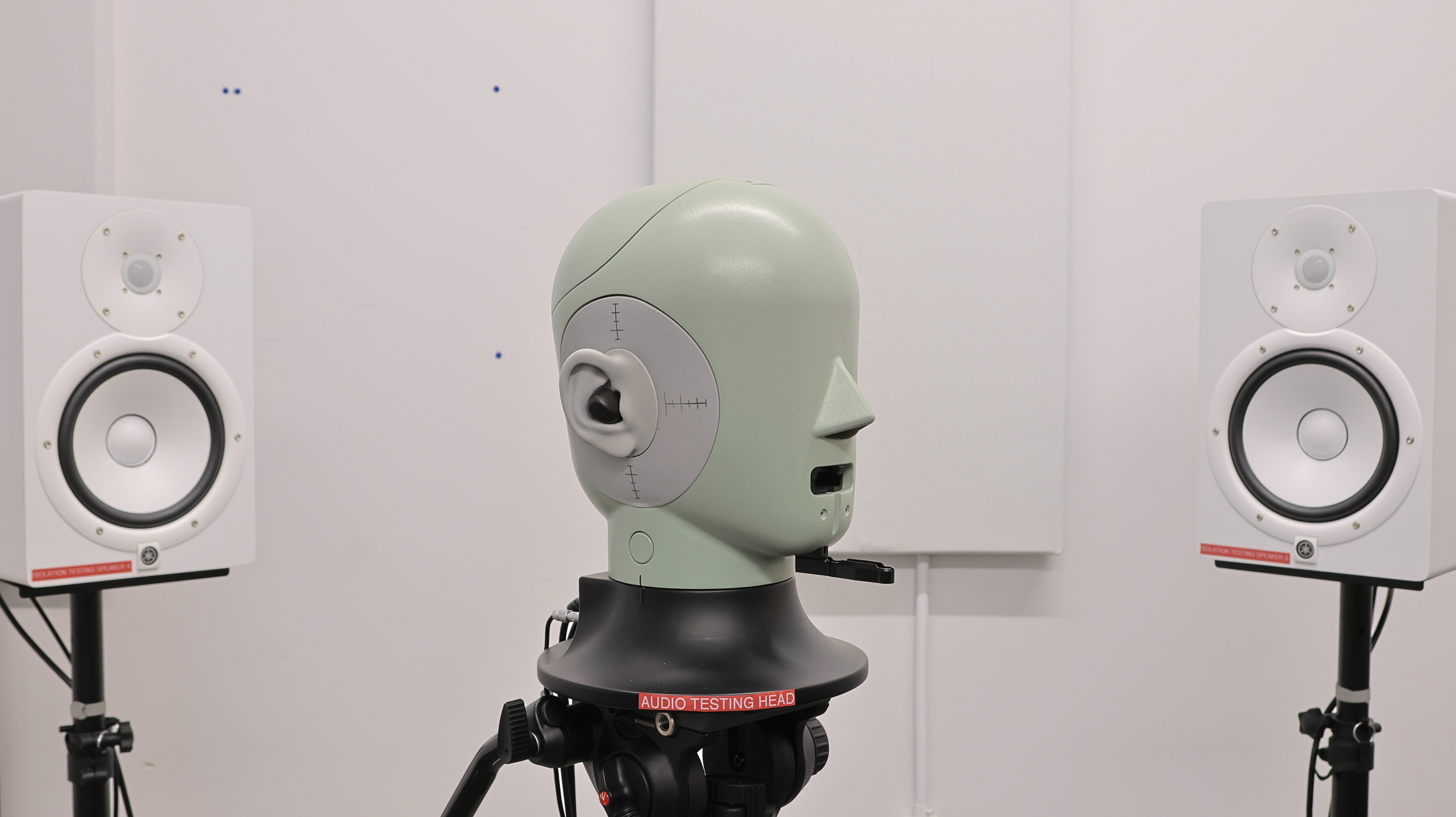 perceptual testing image