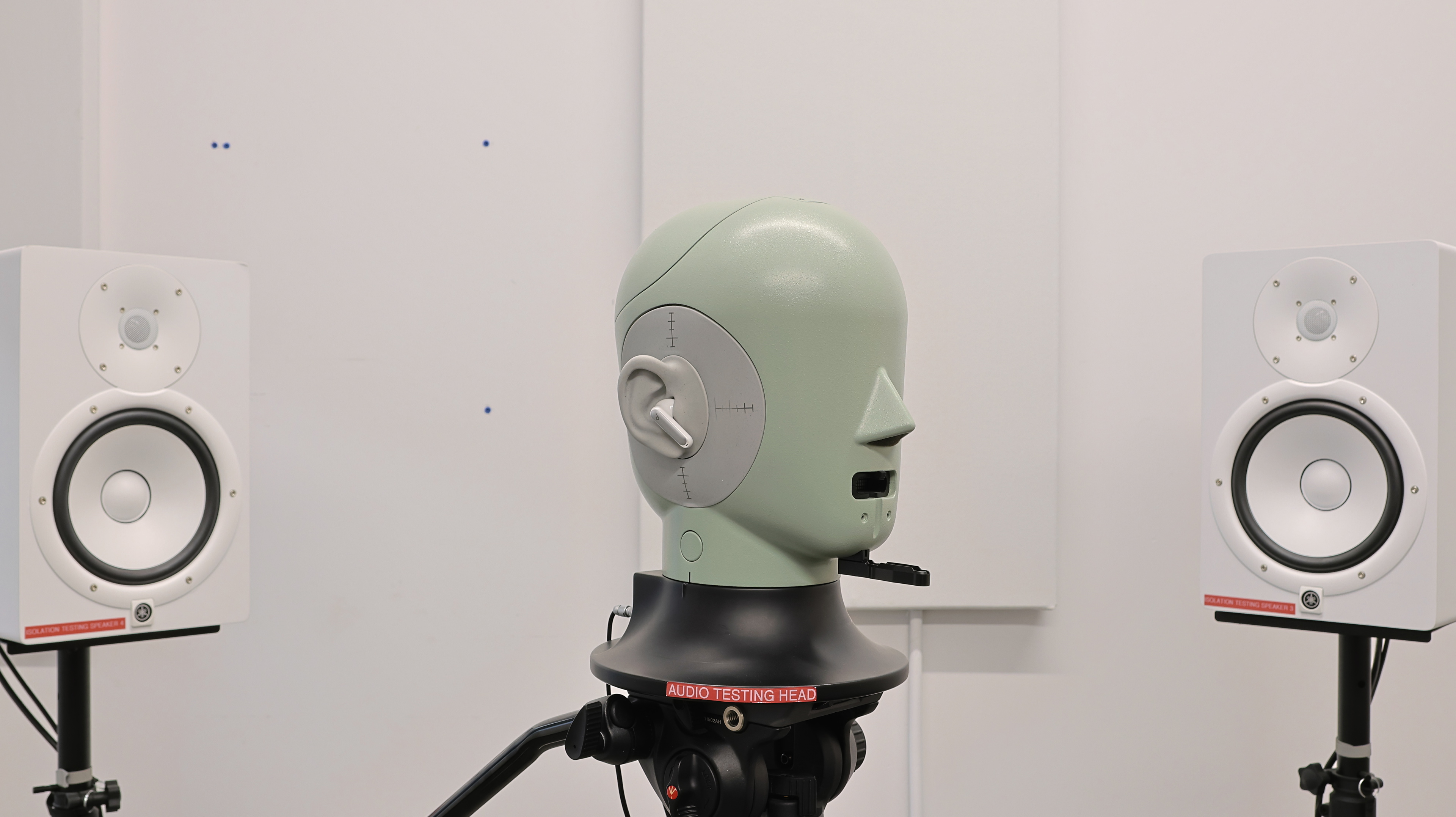 perceptual testing image