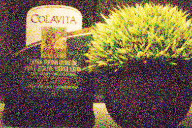 Nikon COOLPIX P950 Noise Scene Crop